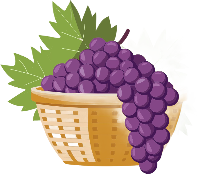 grapes in basket